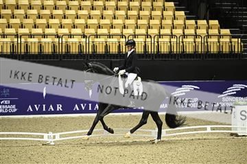 182194_kbb_01_Z095291.JPG