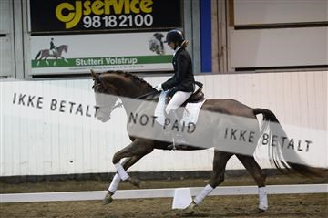 141472_abo_01__AB15512.JPG