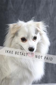 129608_le_ 01_0330.JPG