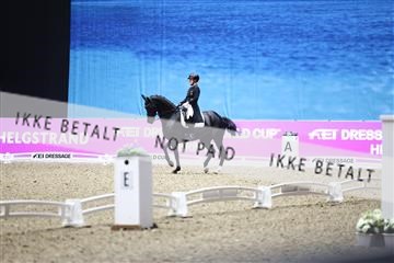182194_avh_07_3883.JPG