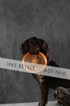 128239_le_kort_ 01_0046.JPG