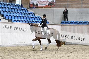 182241_kbb_01_Z094249.JPG
