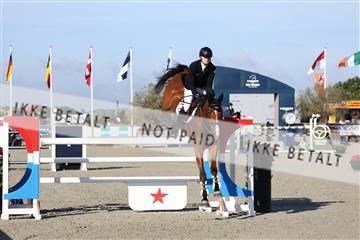 181436_avh_01_2984.JPG