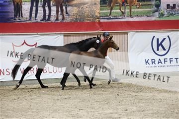 181957_mtp_08_R62_5712.JPG