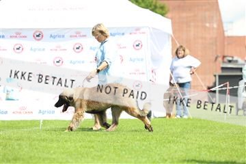 181564_rin_01_R62_7716.JPG