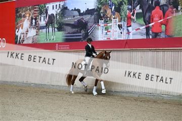 181887_mtp_04_R62_8189.JPG