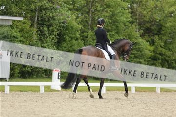 139835_sg_02_IMG_8447.JPG