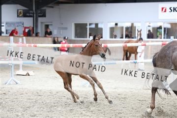 175057_kuo_01_R62_5184.JPG