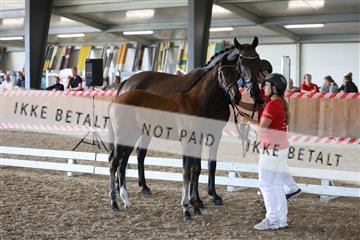 181756_mtp_03_R62_2485.JPG