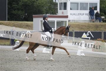 166078_rhj_01__J7R4020.JPG