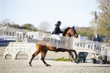 181332_kbb_01_6II3078.JPG
