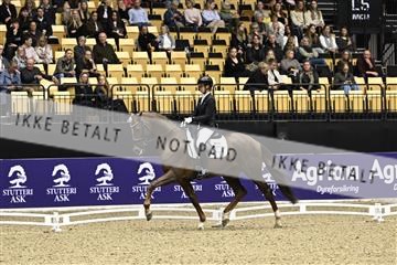 182194_kbb_03_Z090641.JPG
