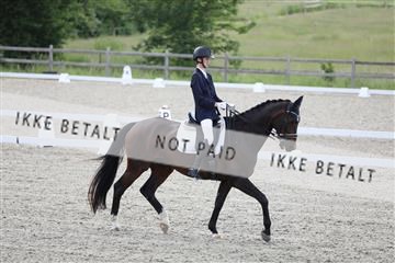 172030_mtp_01_3M5A2256.JPG