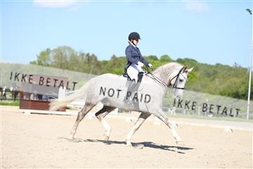 168732_mtp_01_3M5A8403.JPG