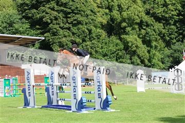 181805_mlm_02_R62_6231.JPG
