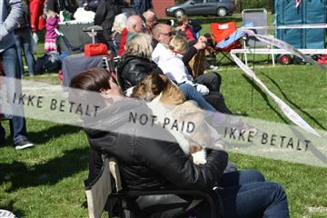 134871_ms_02_IMG_3251.JPG