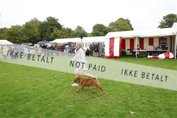 182009_kar_01__62_5288.JPG