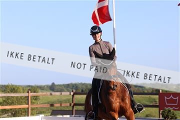 181449_bc_01R62_6499.JPG