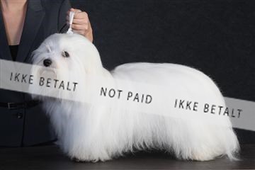 132082_le_ 01_IMG_0377.JPG