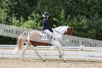156196_nn_01_IMG_6284.JPG