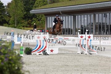 181922_avh_01_1020.JPG