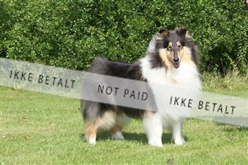 130370_se_02_IMG_5806.JPG