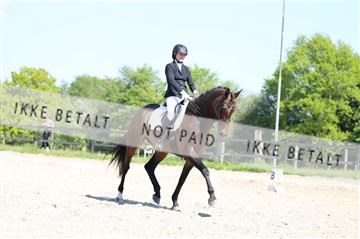 168732_mtp_01_3M5A7953.JPG