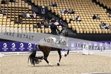 182194_kbb_03_Z099760.JPG