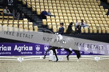 182194_mlm_01_R62_9471.JPG