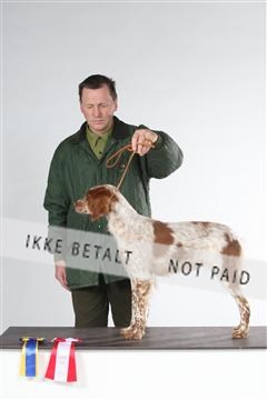 126827_le_03_img_0133.JPG