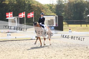 181894_mtp_02_R62_2271.JPG