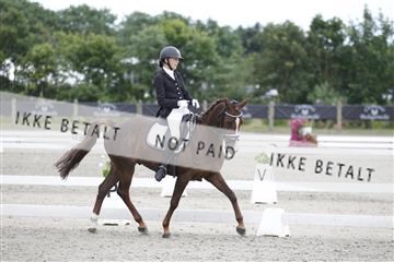 166078_rhj_01__J7R4521.JPG