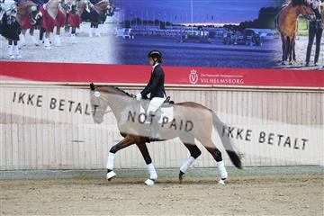 181887_mtp_04_R62_8306.JPG