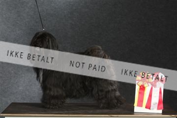 132082_le_ 01_IMG_1531.JPG