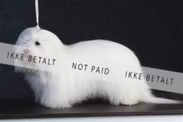 132082_le_ 01_IMG_0378.JPG