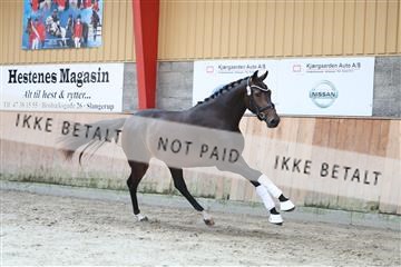 181868_mtp_01_R62_5073.JPG
