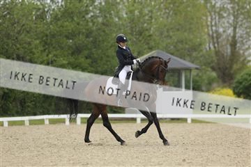 139835_sg_01_IMG_8197.JPG