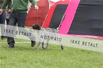 134871_ms_04_IMG_9893.JPG