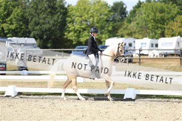 181894_mtp_05_R62_4594.JPG
