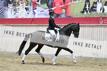 182241_kbb_01_Z094154.JPG