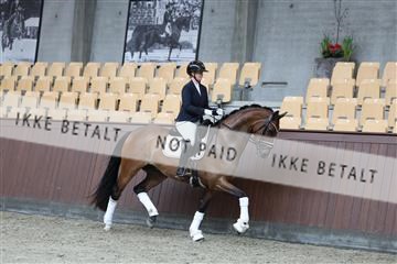 181852_mtp_02_R62_1876.JPG