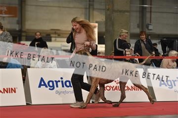 164856_bkn_01__BKN7440.JPG