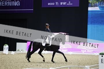 182194_mlm_01_R62_9504.JPG