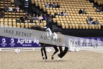 182194_kbb_03_Z099736.JPG