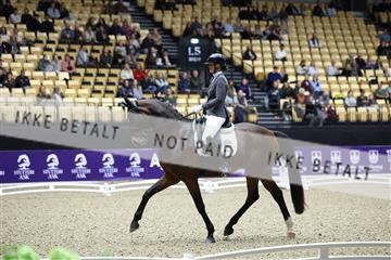 182194_mlm_02_R62_0331.JPG