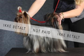 132082_le_ 01_IMG_0353.JPG