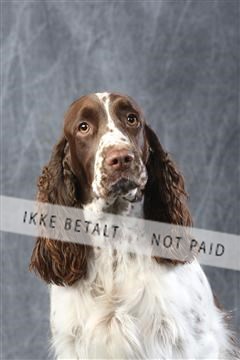 129608_le_ 01_0536.JPG