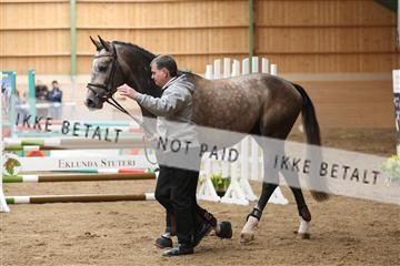 139265_kl_1_8M1Q6198.JPG