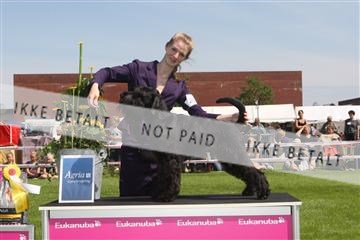 130370_se_02_IMG_6232.JPG