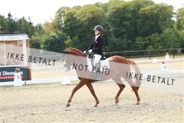 181894_mtp_02_R62_1207.JPG